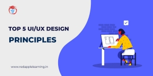 What are the Top 5 UI/UX Design Principles?